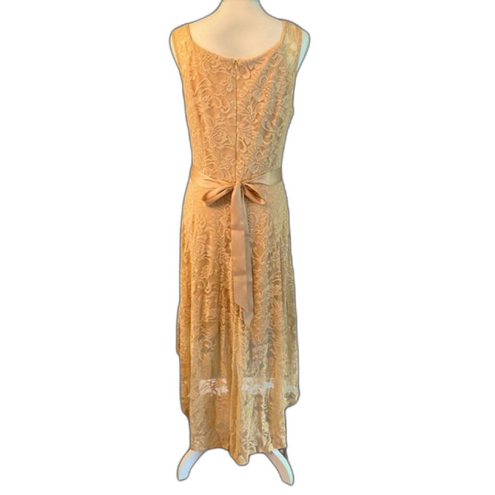 Berry Love High Low Formal Dress XL Chiffon Champagne (Formal or Wedding) - Picture 3 of 13